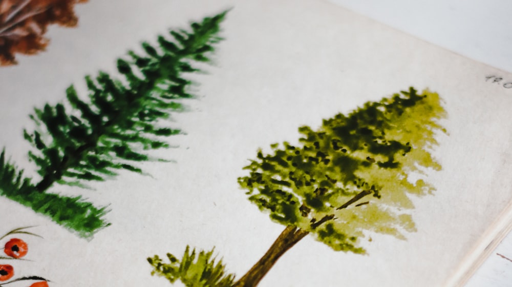 Hand-painted illustrations in an open sketchbook
